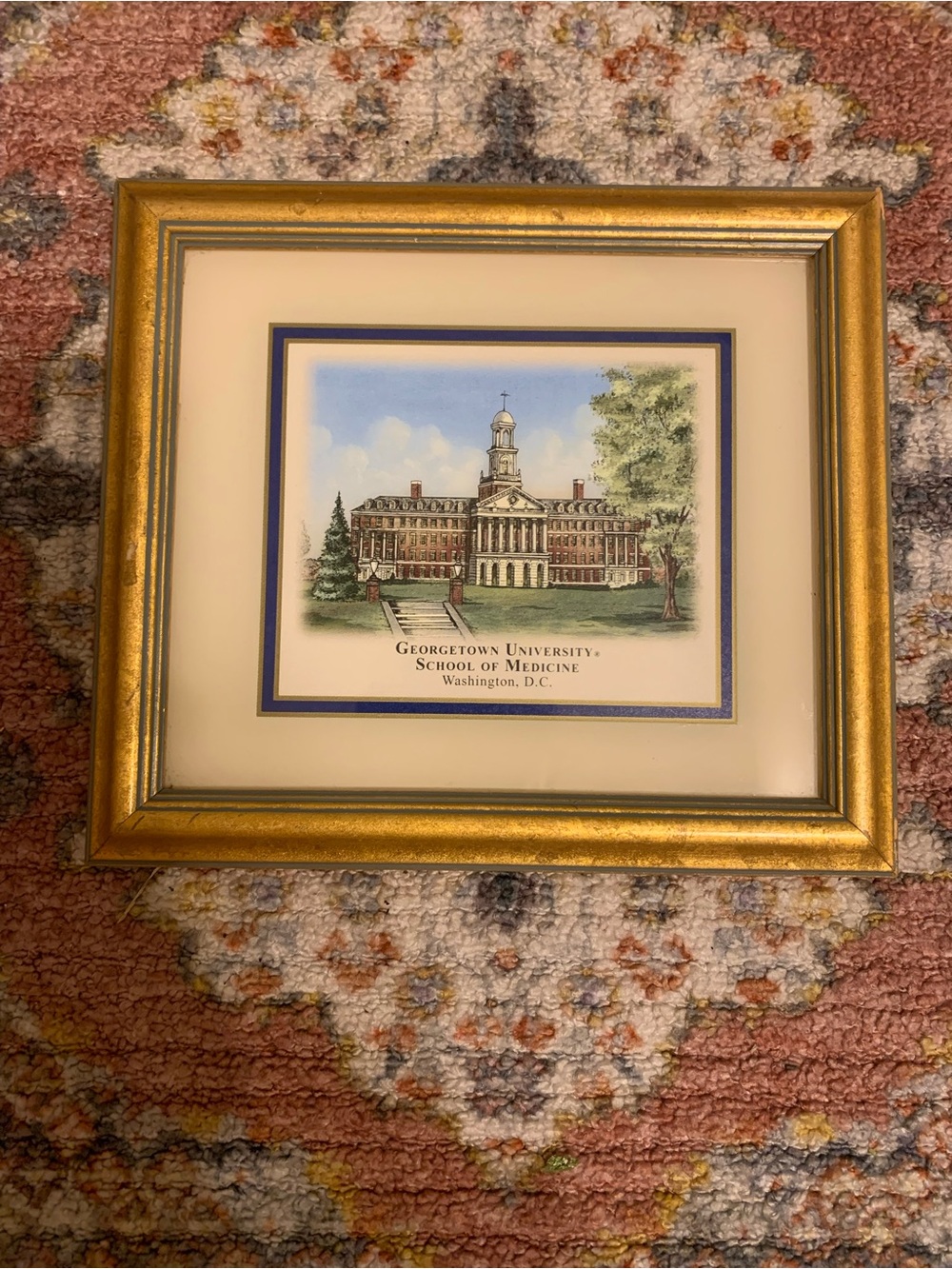 Georgetown University School of Medicine Framed Print - Gold Frame